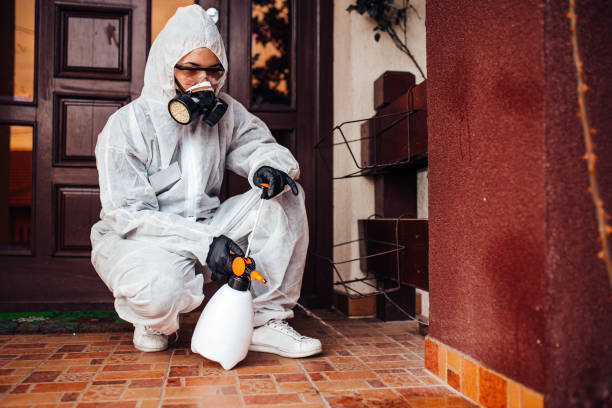 Reliable Cockroach Control contractor in Mountainside, NJ by Nex Pest Control